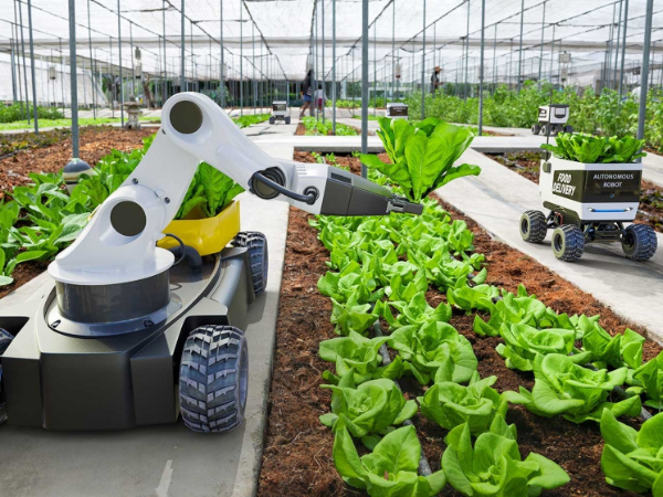 IA na Agricultura Sustentável